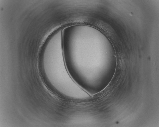 X0000072980728200607211005