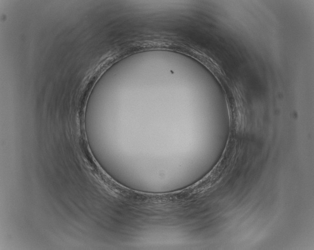 X0000072980729200607211005