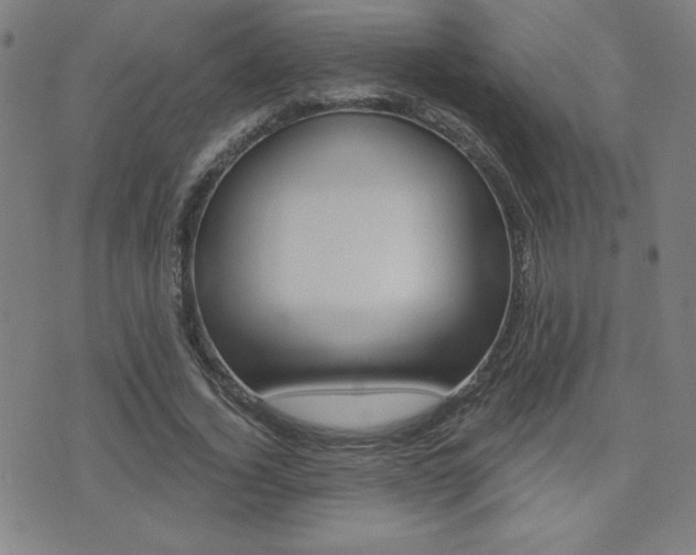 X0000072980732200607211005