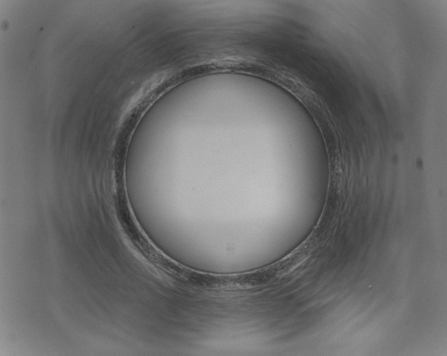 X0000072980734200607211005