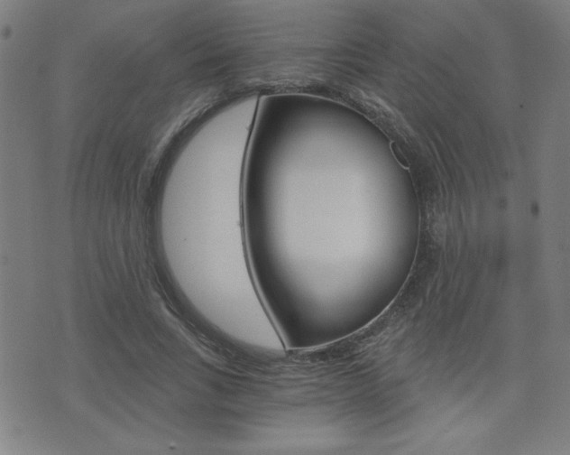 X0000072980735200607211005