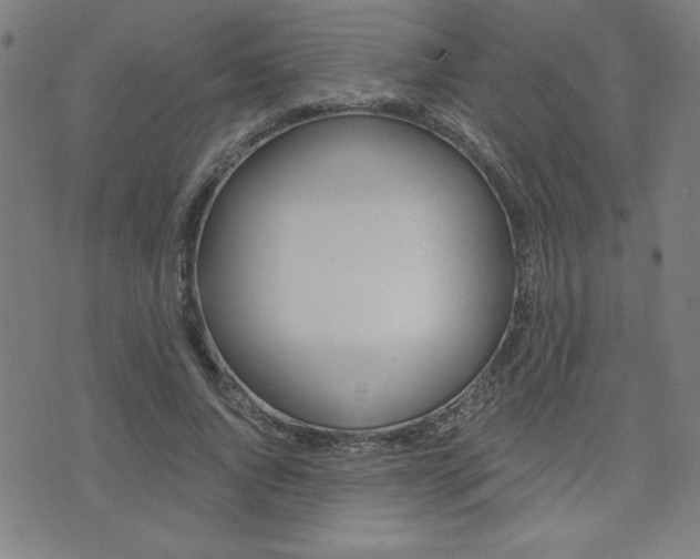 X0000072980736200607211005