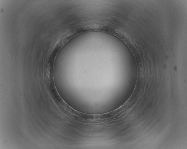 X0000072980739200607211005