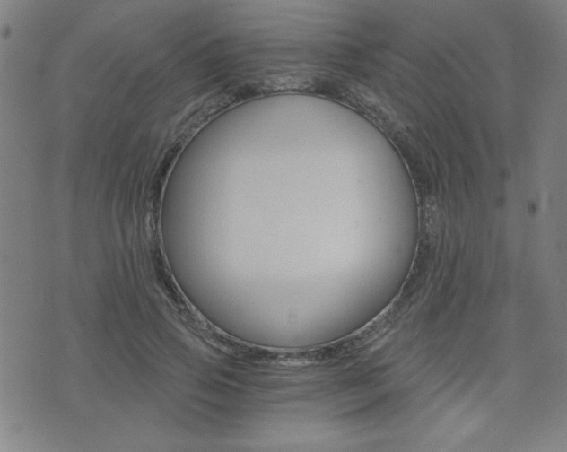 X0000072980741200607211005