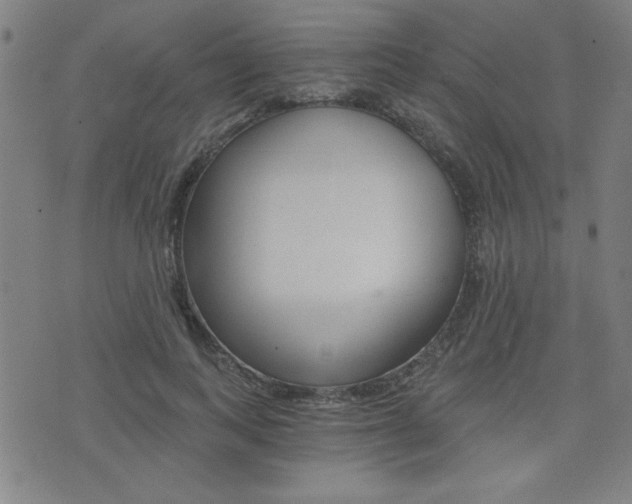 X0000072980743200607211005