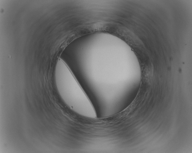 X0000072980746200607211005