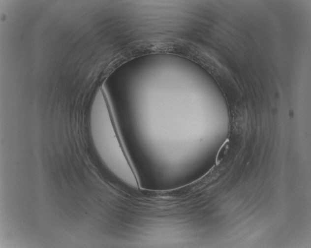 X0000072980748200607211005