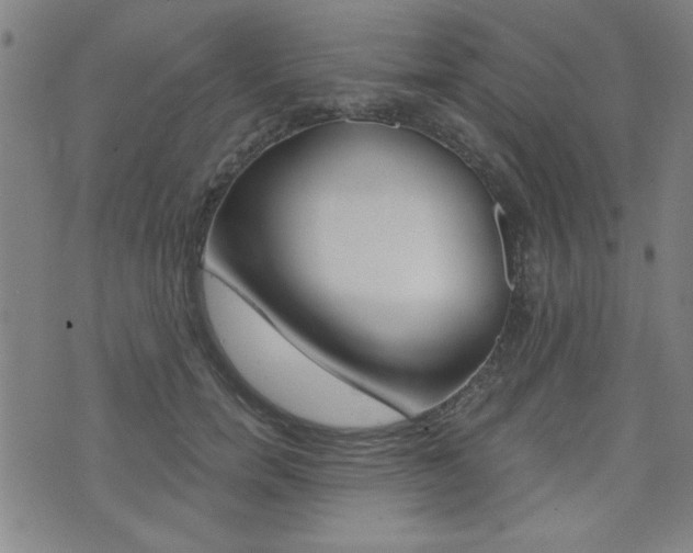 X0000072980750200607211005