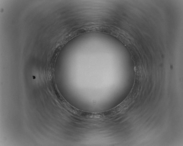 X0000072980751200607211005