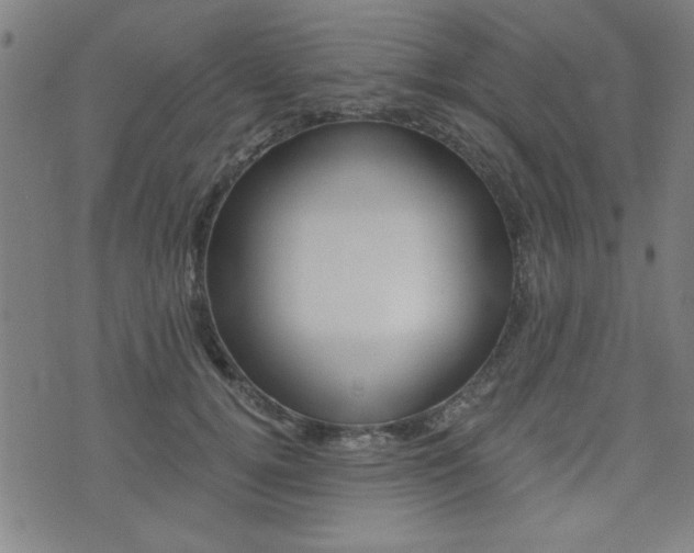 X0000072980752200607211005