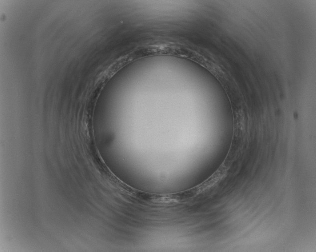 X0000072980754200607211005