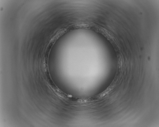 X0000072980764200607211005