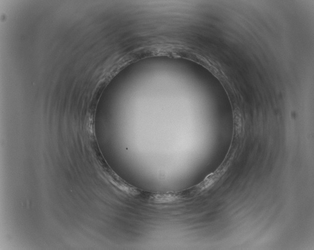 X0000072980766200607211005