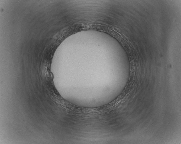 X0000072980770200607211005