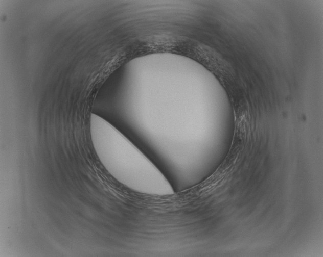 X0000072980772200607211005