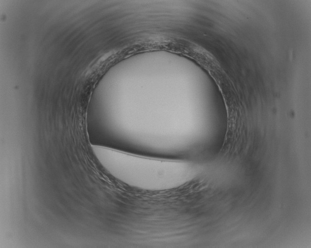 X0000072980773200607211005