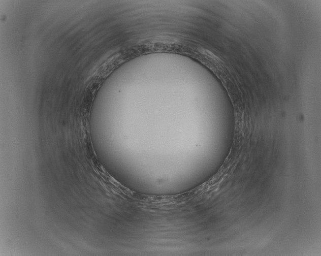 X0000072980774200607211005