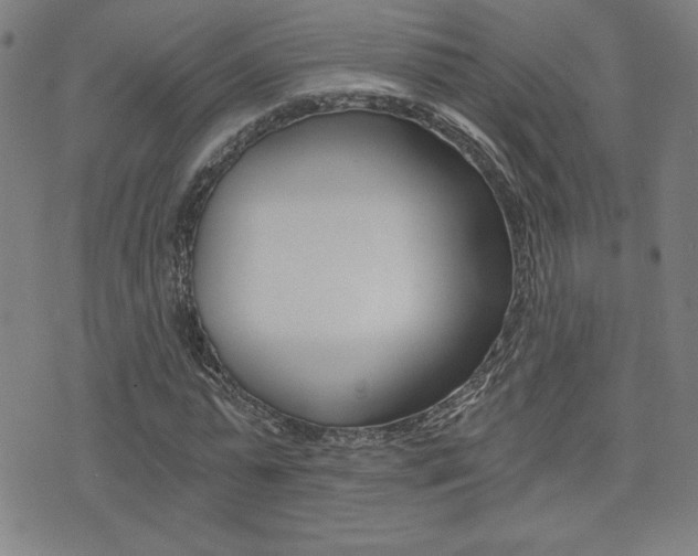 X0000072980775200607211005