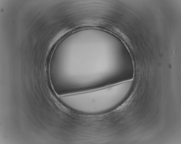 X0000072980779200607211005