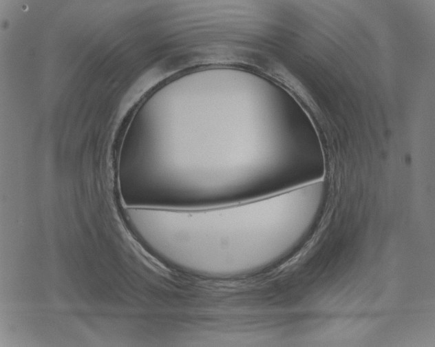 X0000072980787200607211004