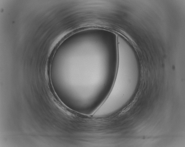 X0000072980788200607211004