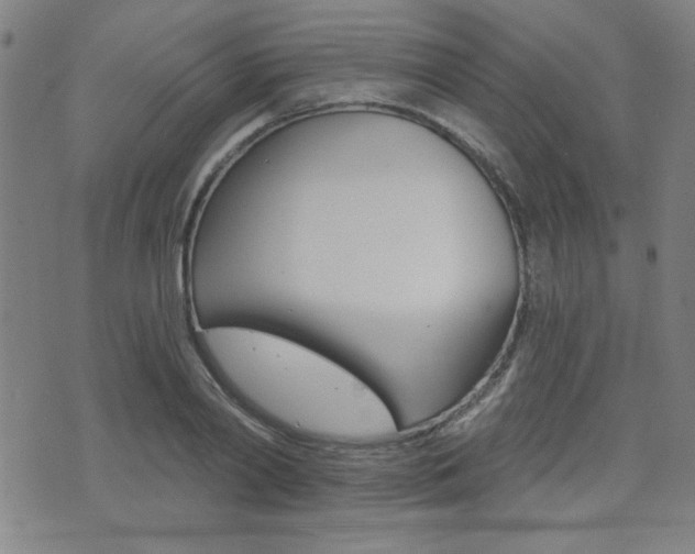 X0000072980790200607211004