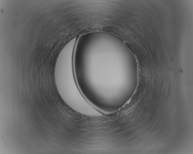 X0000072980818200607211003