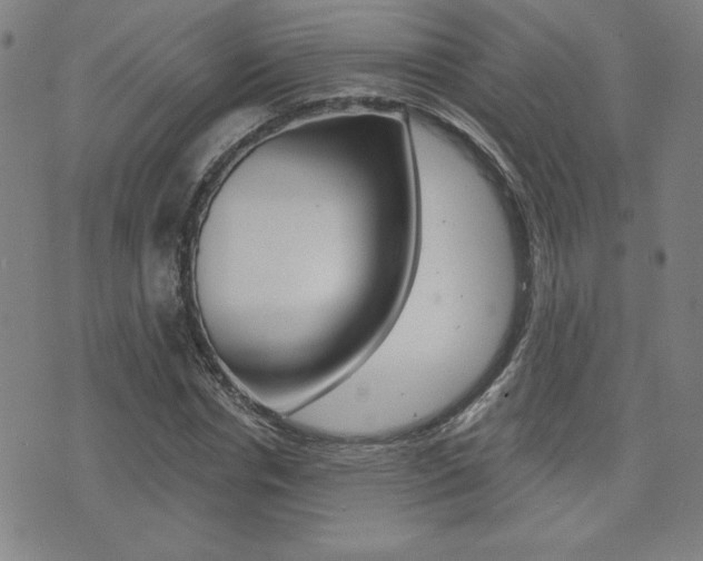 X0000072980826200607211003