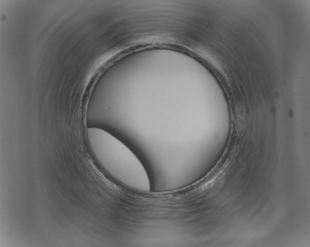 X0000072980831200607211003