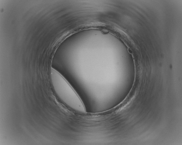 X0000072980833200607211003