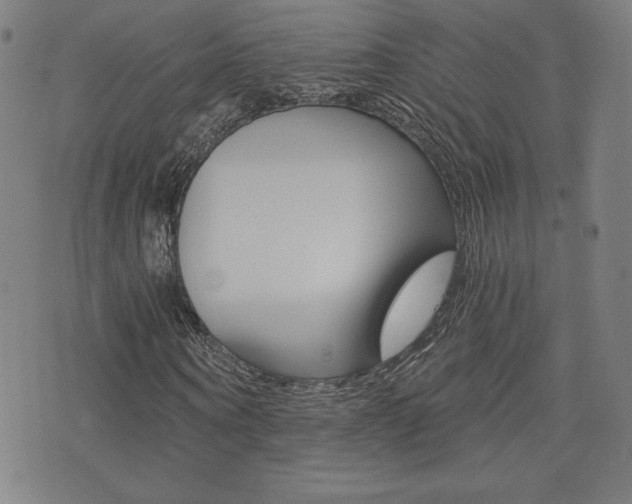 X0000072980866200607211003
