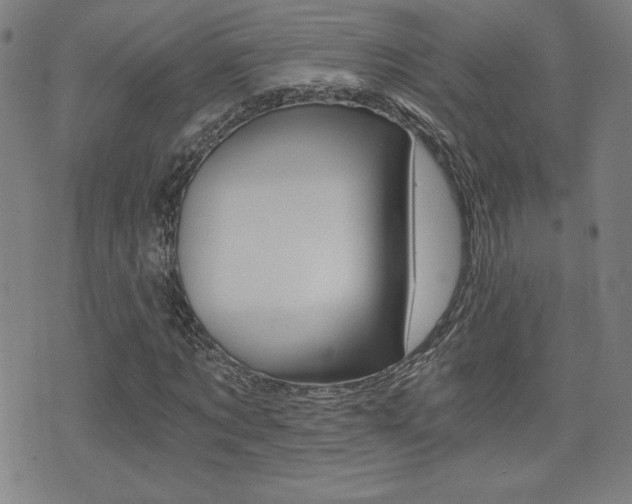 X0000072980869200607211003