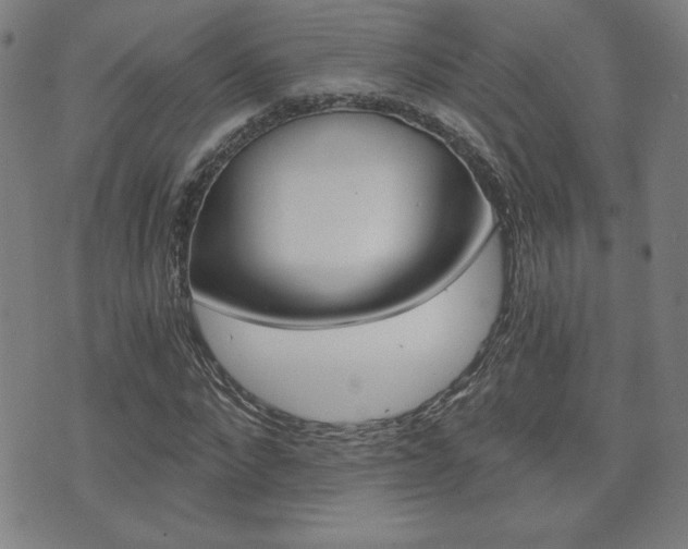 X0000072980872200607211003