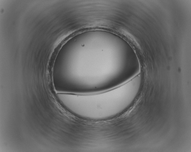 X0000072980876200607211003