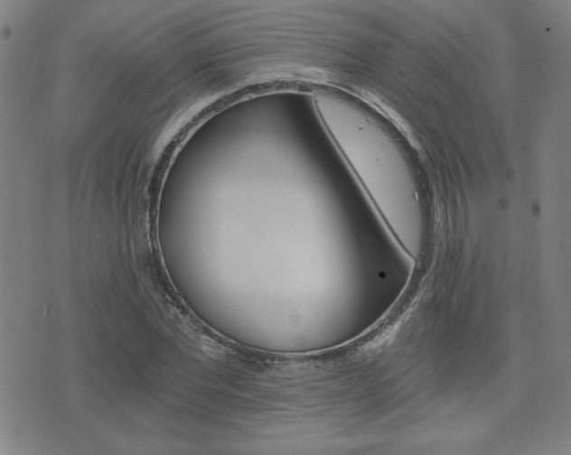 X0000072980877200607211003