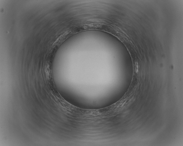 X0000072980915200607211002
