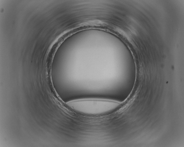 X0000072980923200607211002