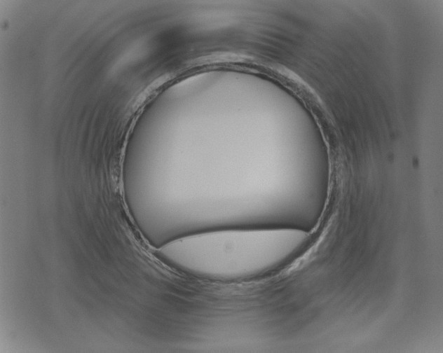 X0000072980929200607211002