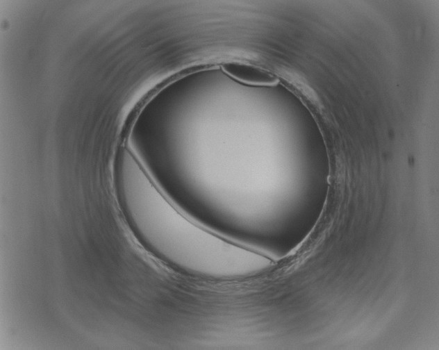 X0000072980936200607211002
