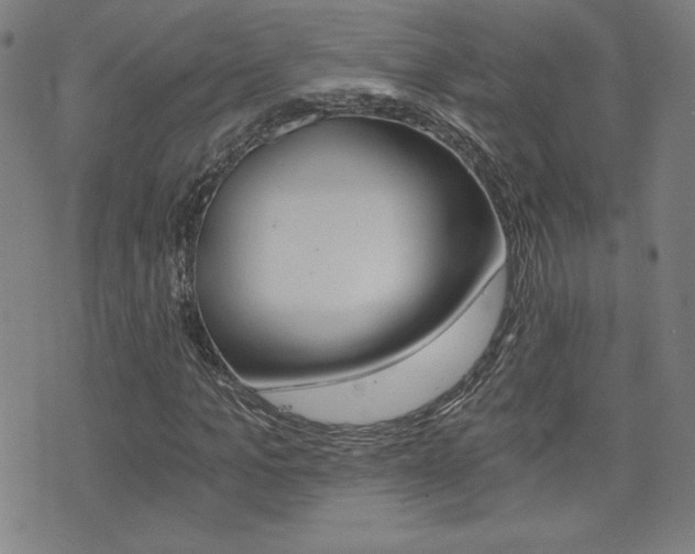 X0000072980965200607211001