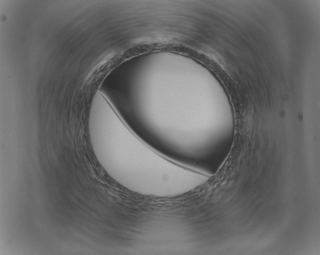 X0000072980967200607211001