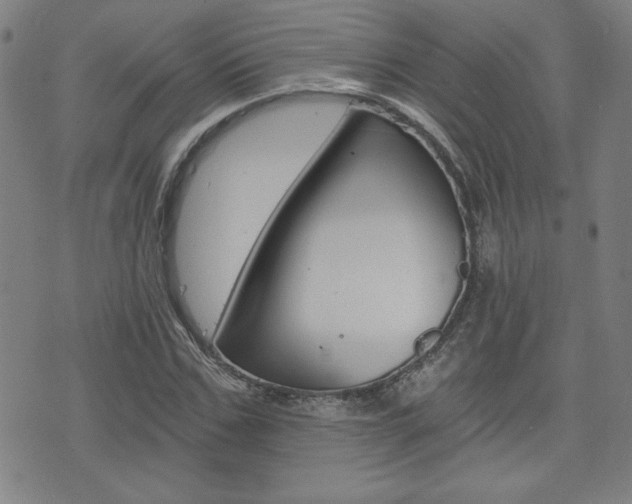 X0000072980971200607211001