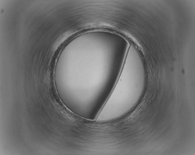X0000072980975200607211001
