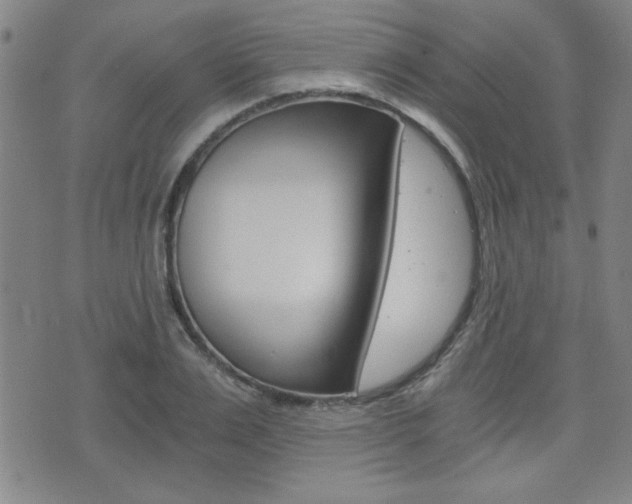 X0000072980983200607211001