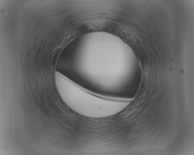 X0000072981012200607211000