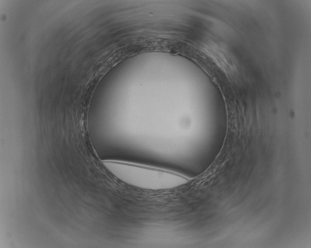 X0000072981013200607211000