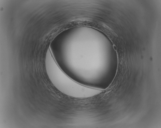 X0000072981014200607211000