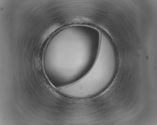 X0000072981018200607211000