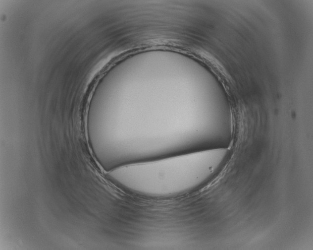 X0000072981023200607211000