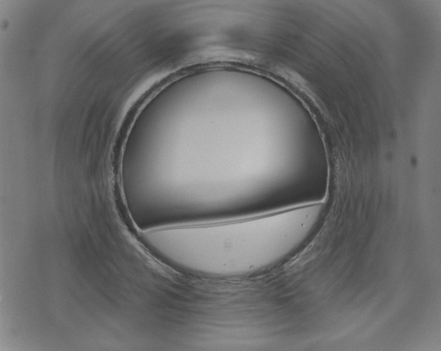 X0000072981024200607211000
